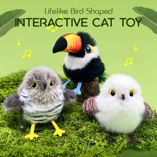 Lifelike Bird-Shaped Interactive Cat Toy