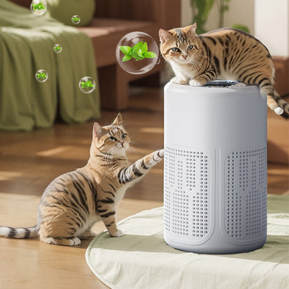 🔇Wyprzedaż końcowa – ostatnia noc, 50% rabatu 🌙 Cichy oczyszczacz powietrza – nic nie zakłóci Twojego snu😴【Ograniczona ilość】